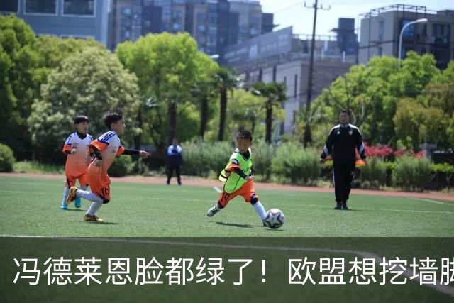 冯德莱恩脸都绿了！欧盟想挖墙脚反被将一军，什么叫中国力量